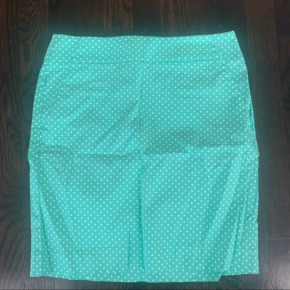 Ann Taylor Madison Skirt Size Zero - Picture 1 of 7
